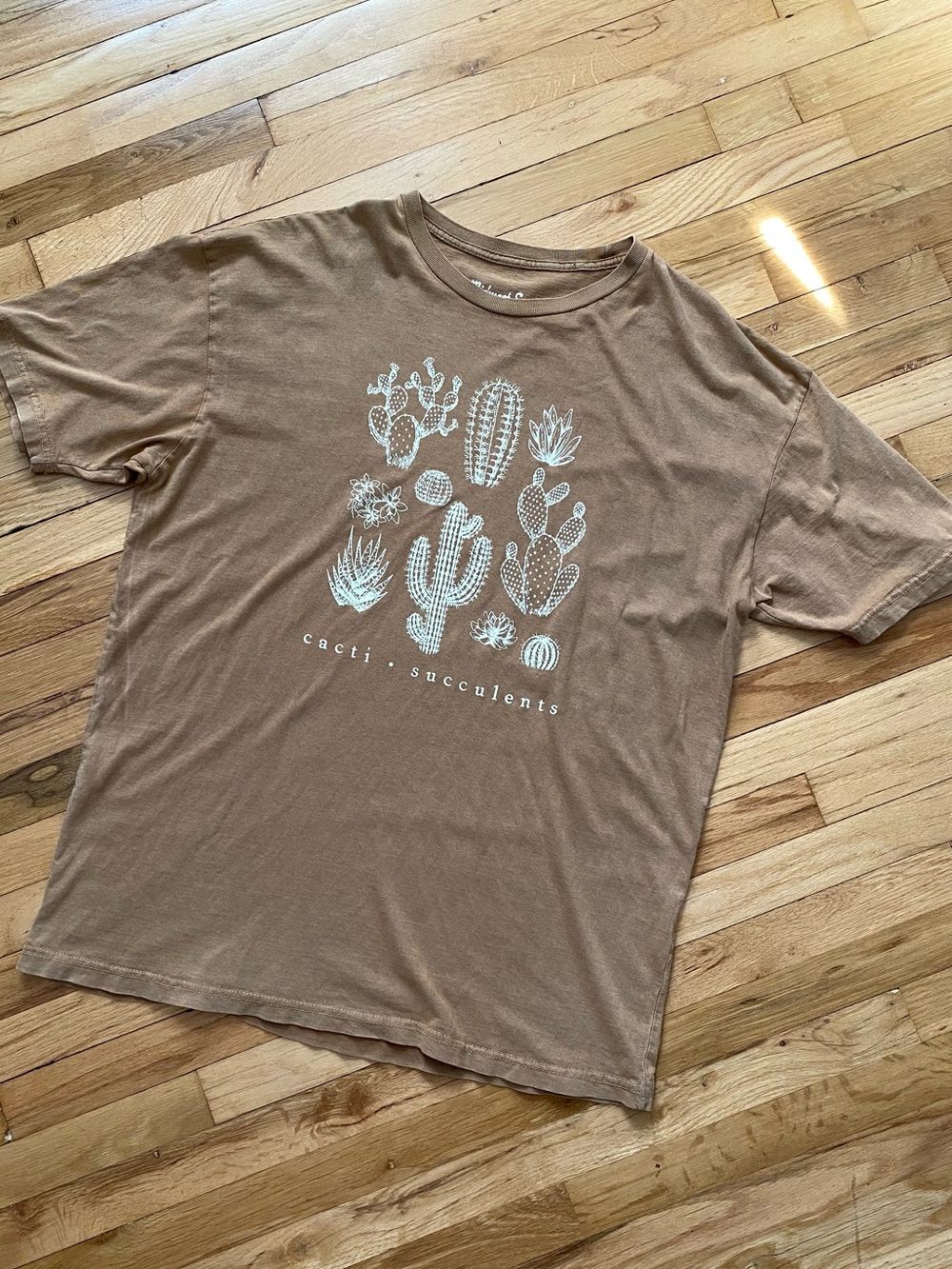 The Midwest Sun Cacti/Succulents Oversized Tee S/M